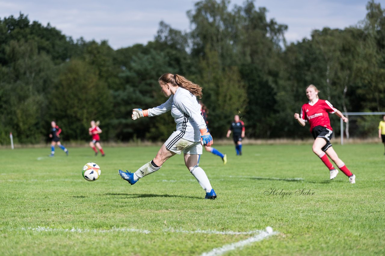 Bild 290 - Frauen SG NieBar - HSV 2 : Ergebnis: 4:3